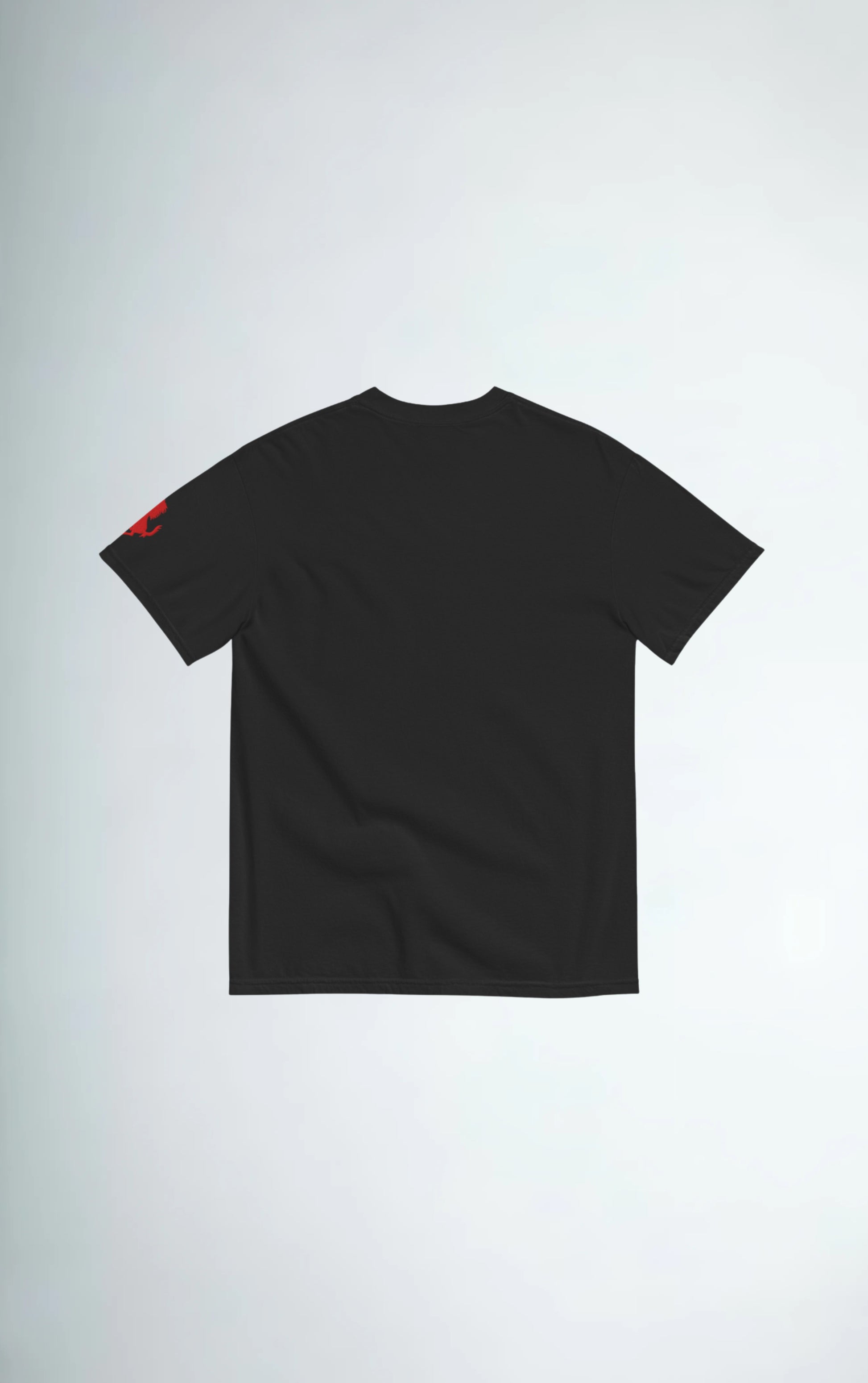 LEWIS HAMILTON tee