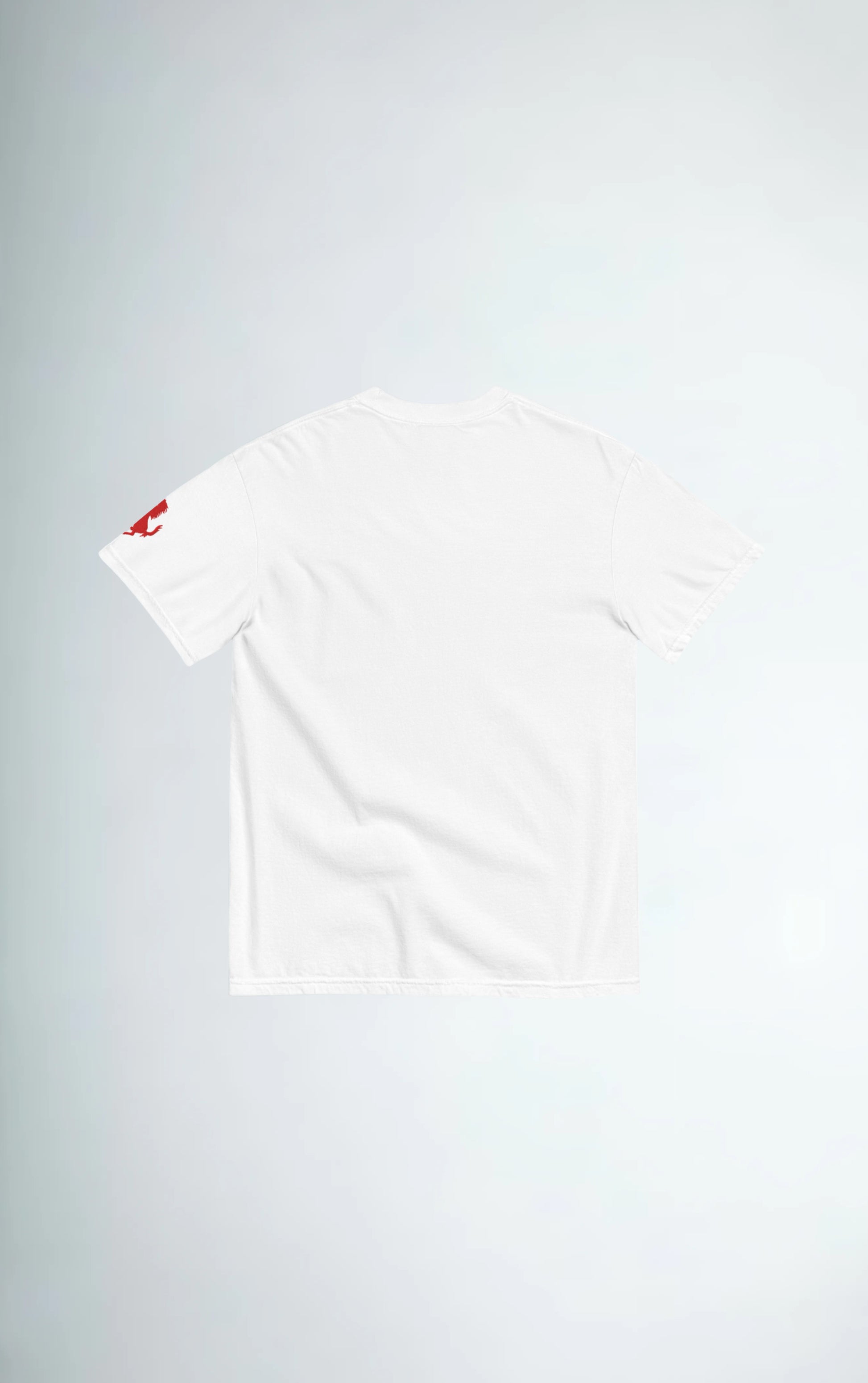 LEWIS HAMILTON tee